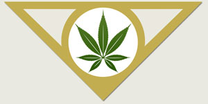 Denver's best medical marijuana sign
