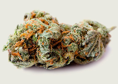 Photo of some of the best recreational weed in Colorado